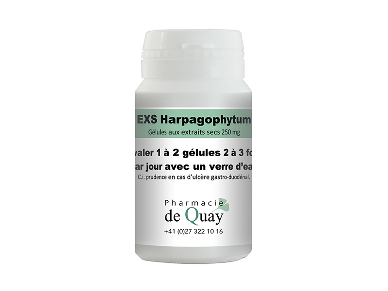 Extraits Secs Harpagophytum 100 capsules
